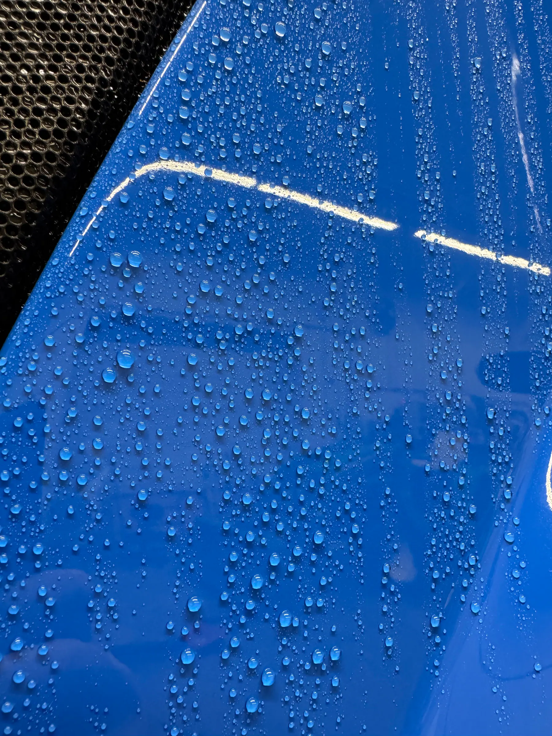 Water beading across a glossy blue painted panel